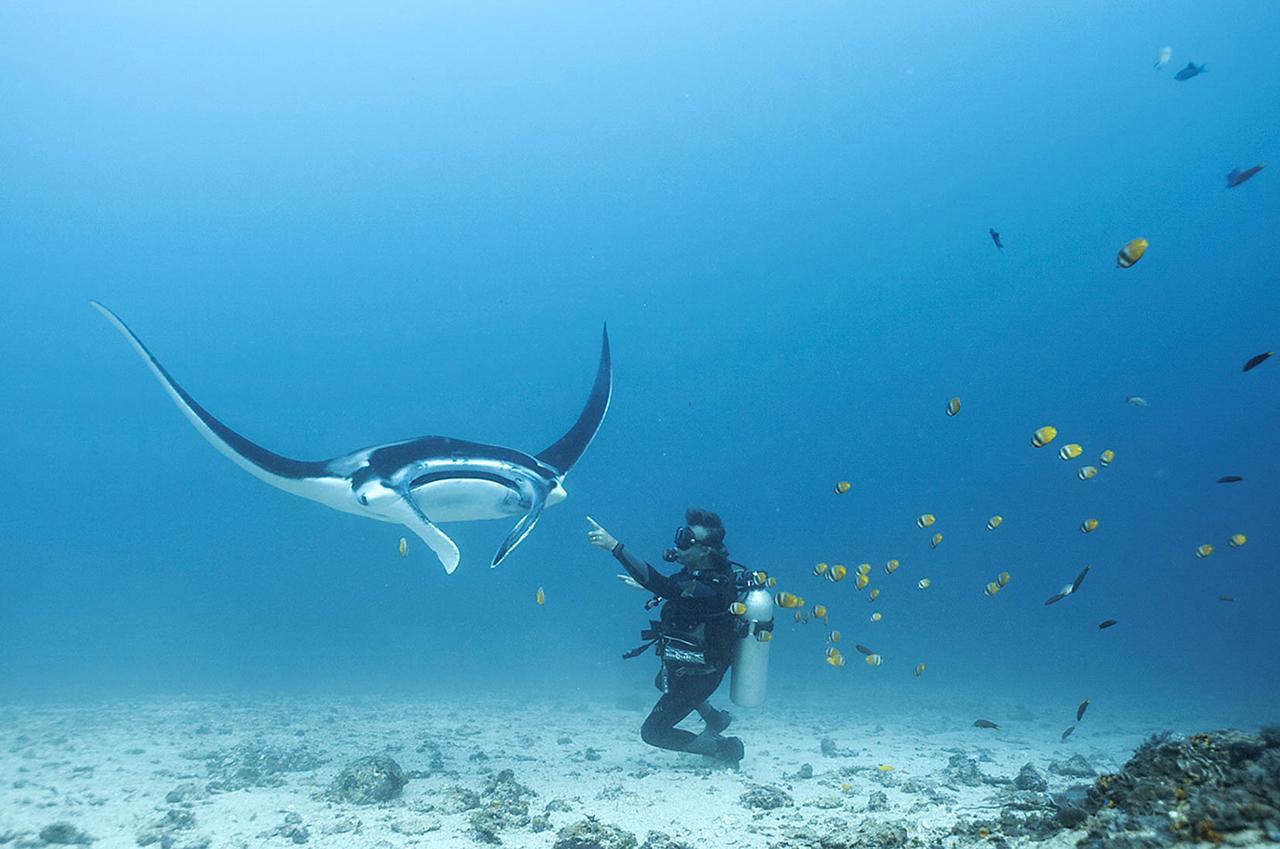 Blue Marlin Dive Komodo Labuan Bajo Exterior photo